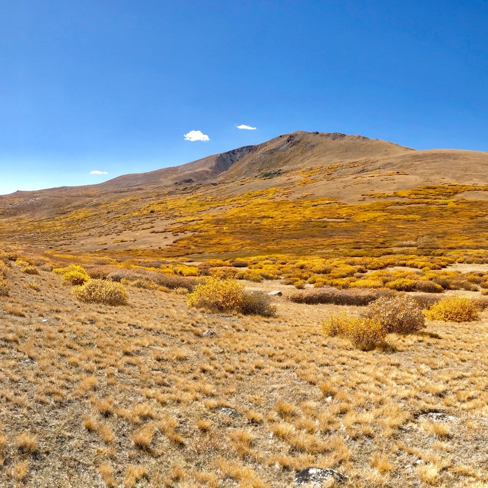 Meet your Posher, Mario